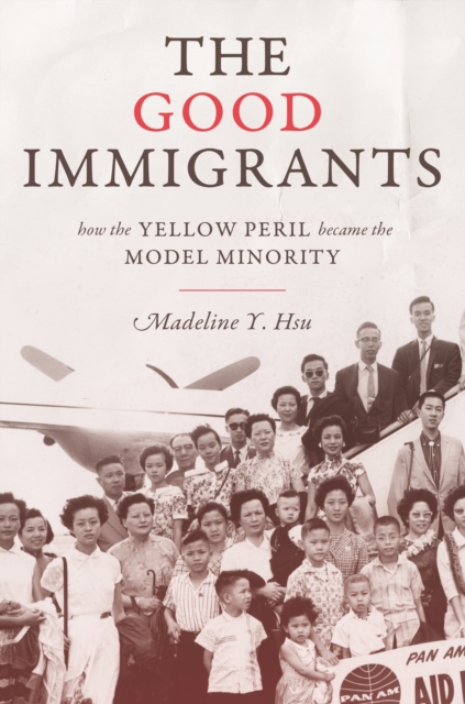 Book Cover for Good Immigrants by Madeline Y. Hsu