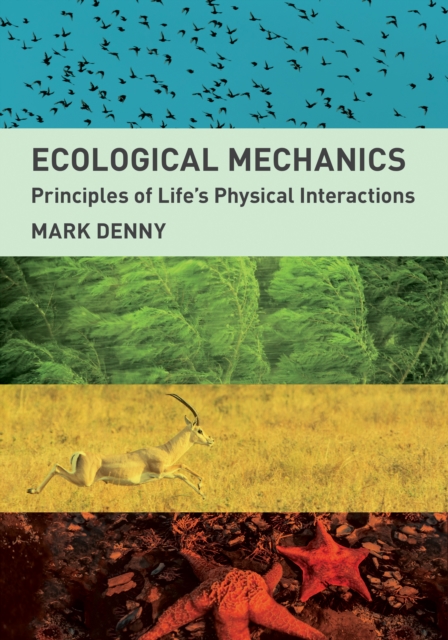 Ecological Mechanics