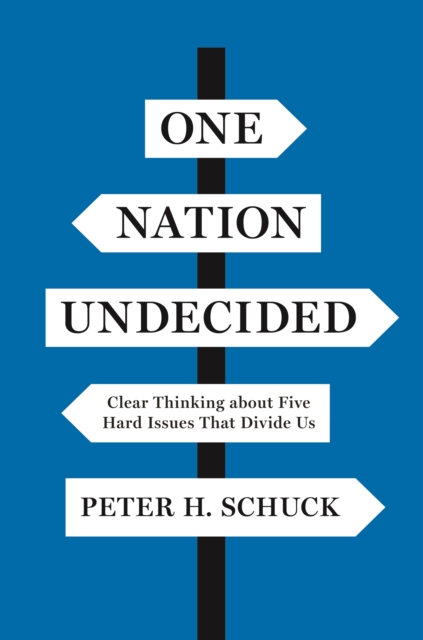 Book Cover for One Nation Undecided by Peter H. Schuck