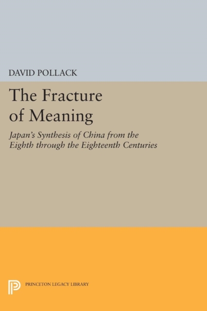 Book Cover for Fracture of Meaning by David Pollack
