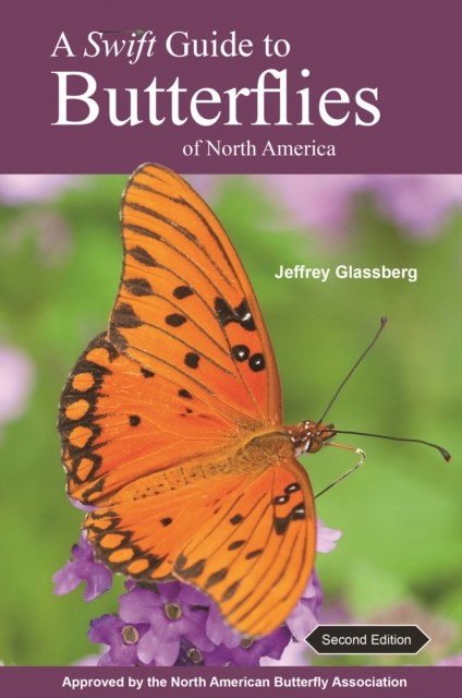 Book Cover for Swift Guide to Butterflies of North America by Jeffrey Glassberg