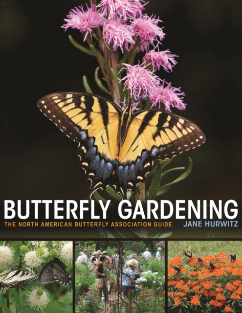 Book Cover for Butterfly Gardening by Jane Hurwitz