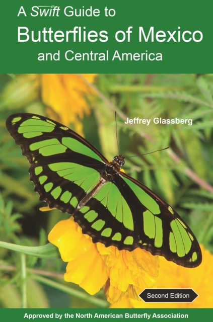 Book Cover for Swift Guide to Butterflies of Mexico and Central America by Jeffrey Glassberg