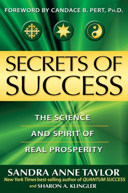 Book Cover for Secrets of Success by Sandra Anne Taylor