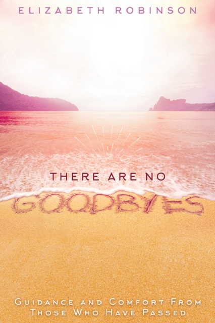 Book Cover for There Are No Goodbyes by Elizabeth Robinson