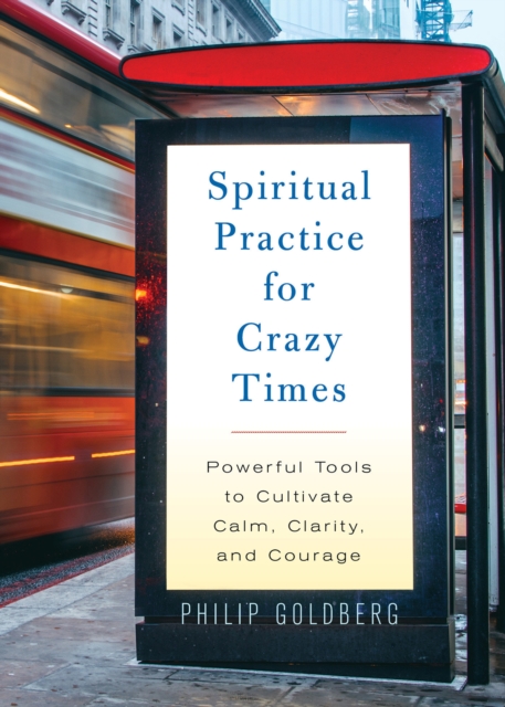 Book Cover for Spiritual Practice for Crazy Times by Philip Goldberg