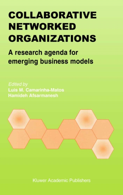 Book Cover for Collaborative Networked Organizations by Luis M. Camarinha-Matos