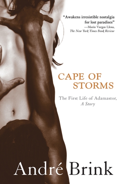 Book Cover for Cape of Storms by Brink, Andre