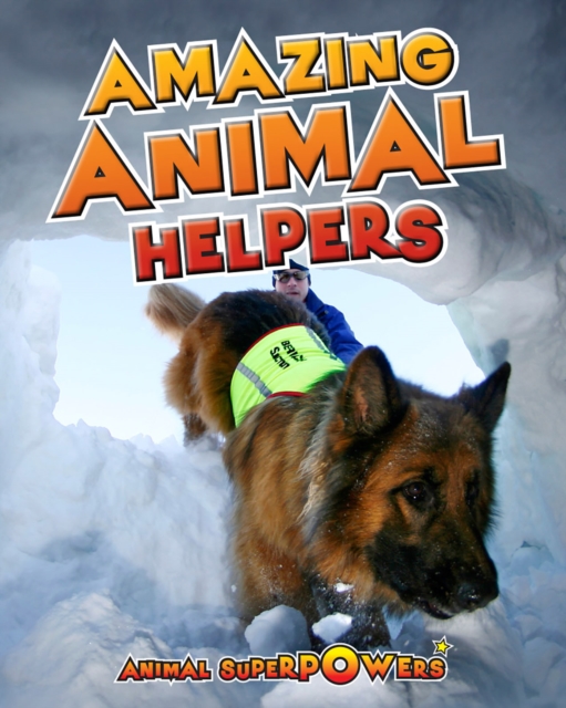 Book Cover for Amazing Animal Helpers by Townsend, John