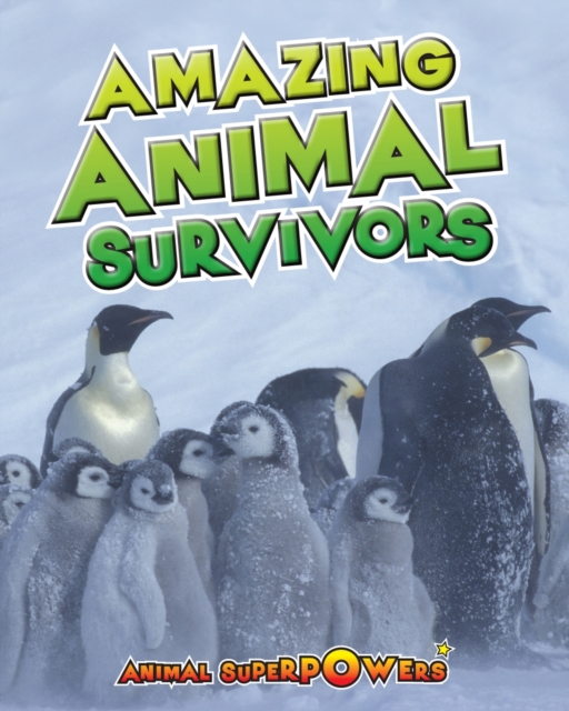 Book Cover for Amazing Animal Survivors by Townsend, John