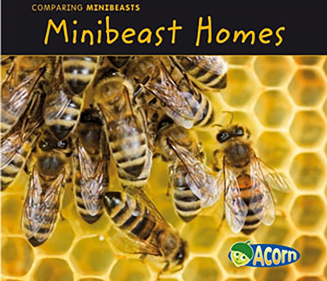 Book Cover for Minibeast Homes by Guillain, Charlotte