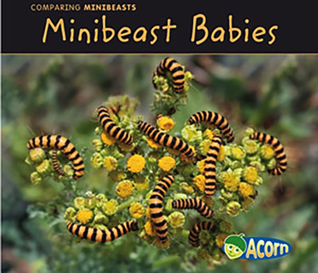 Book Cover for Minibeast Babies by Guillain, Charlotte