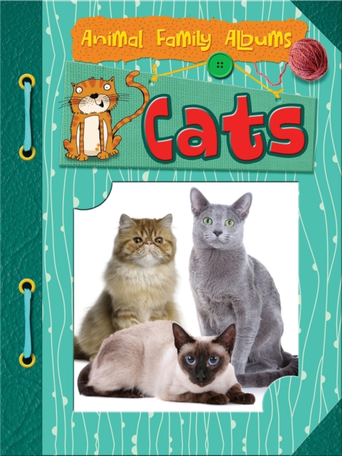 Book Cover for Cats by Guillain, Charlotte