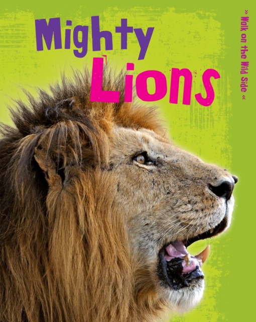 Book Cover for Mighty Lions by Guillain, Charlotte