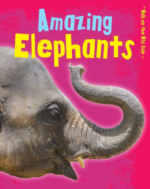 Book Cover for Amazing Elephants by Guillain, Charlotte