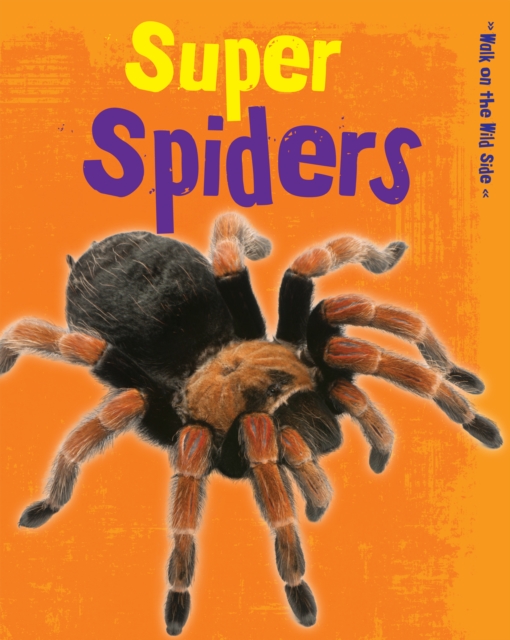 Book Cover for Super Spiders by Guillain, Charlotte