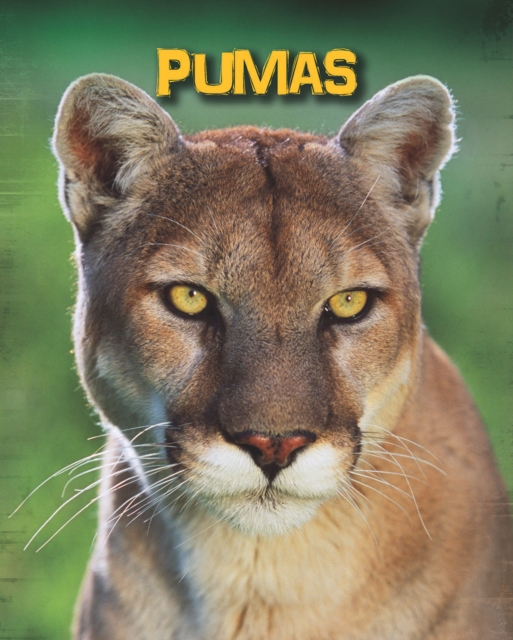 Book Cover for Pumas by Guillain, Charlotte