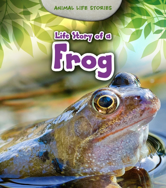 Book Cover for Life Story of a Frog by Guillain, Charlotte