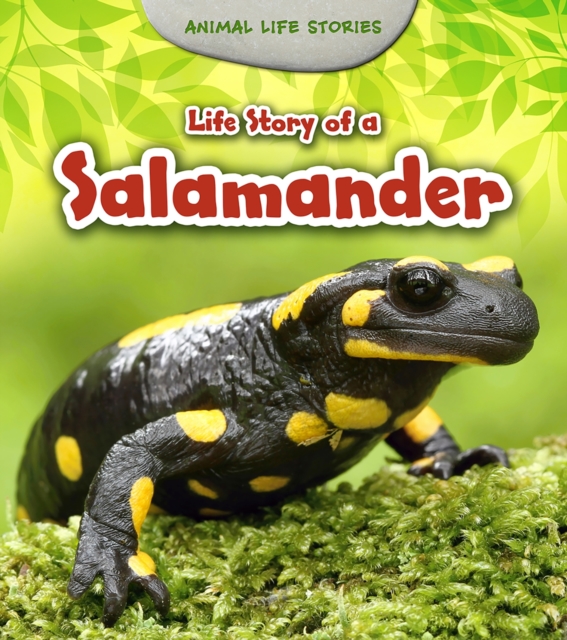 Book Cover for Life Story of a Salamander by Guillain, Charlotte