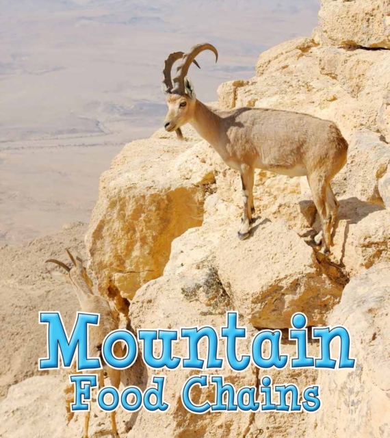 Book Cover for Mountain Food Chains by Angela Royston