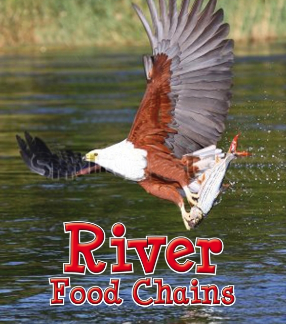 Book Cover for River Food Chains by Angela Royston