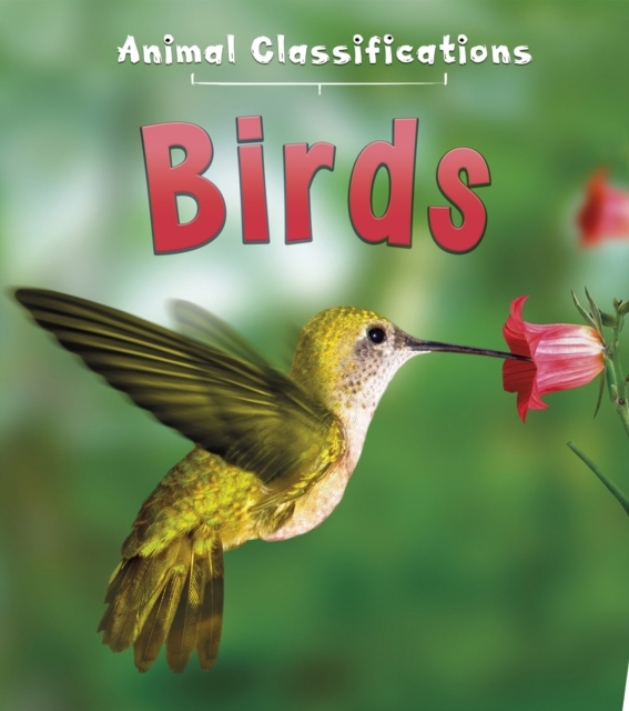 Book Cover for Birds by Angela Royston