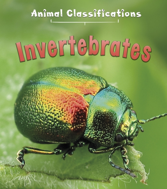 Book Cover for Invertebrates by Angela Royston