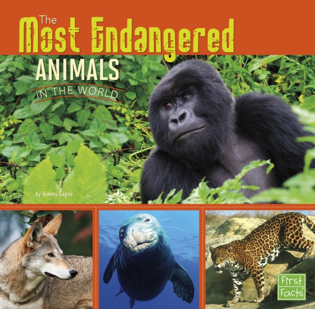 Book Cover for Most Endangered Animals in the World by Tammy Gagne