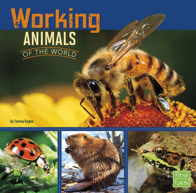 Book Cover for Working Animals of the World by Tammy Gagne