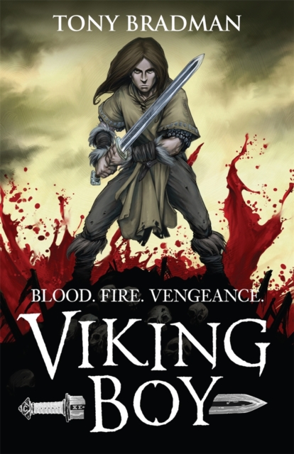 Book Cover for Viking Boy by Tony Bradman