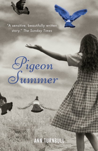 Pigeon Summer