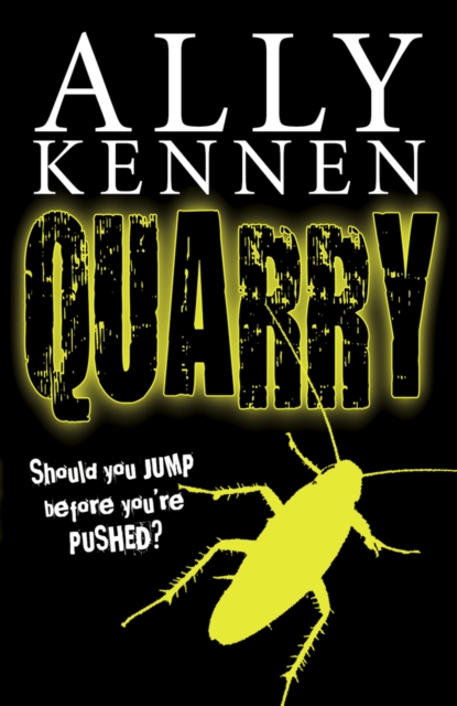 Book Cover for QUARRY by Ally Kennen