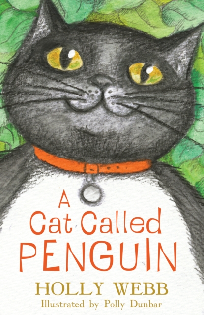 Book Cover for A Cat Called Penguin by Webb, Holly