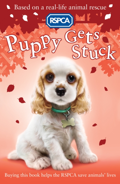 Book Cover for Puppy Gets Stuck by Mongredien, Sue