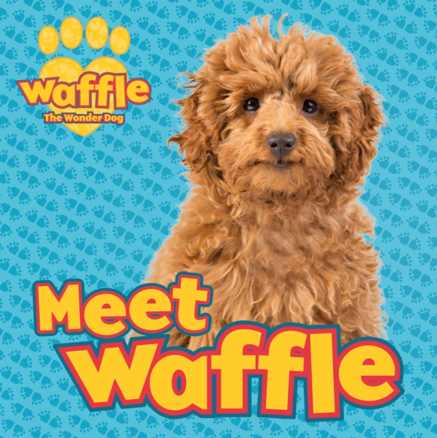 Book Cover for Meet Waffle! by Scholastic