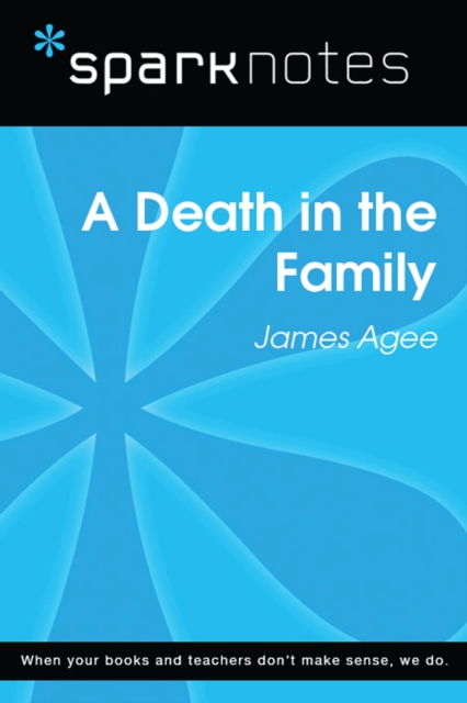 Book Cover for Death in the Family (SparkNotes Literature Guide) by SparkNotes