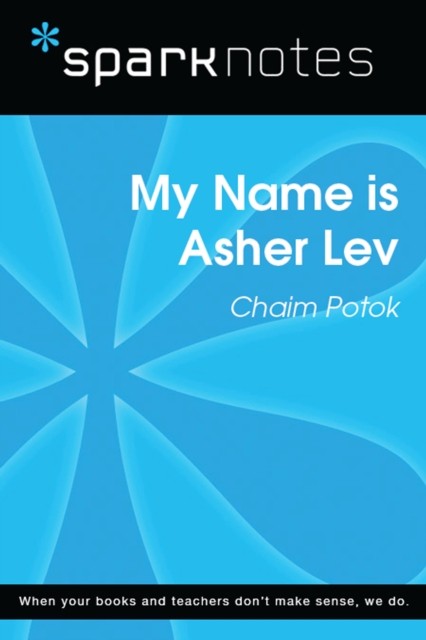 Book Cover for My Name is Asher Lev (SparkNotes Literature Guide) by SparkNotes