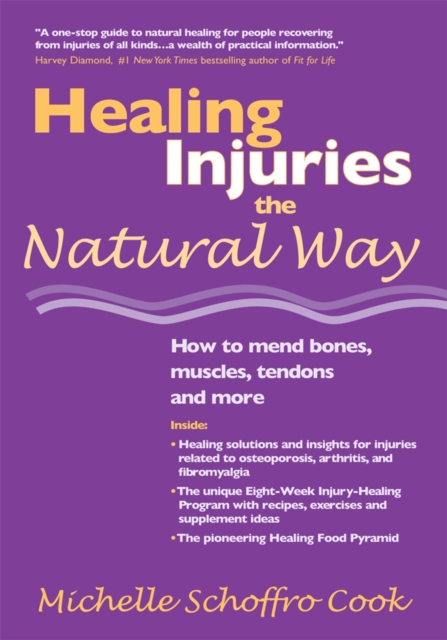 Book Cover for Healing Injuries the Natural Way by Michelle Schoffro Cook