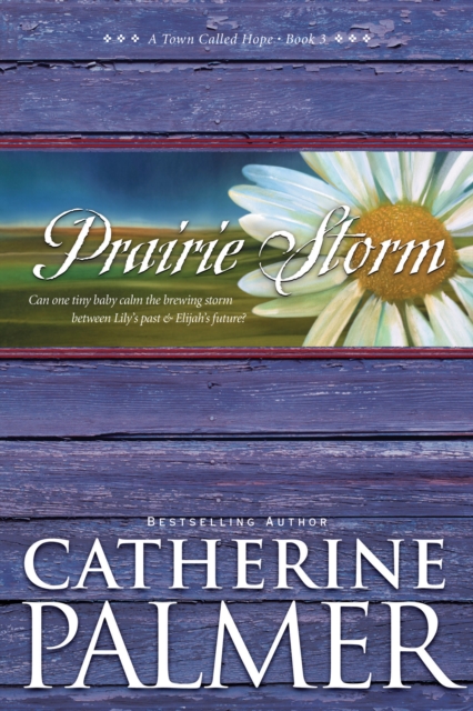 Book Cover for Prairie Storm by Catherine Palmer