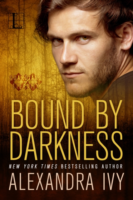 Book Cover for Bound By Darkness by Alexandra Ivy