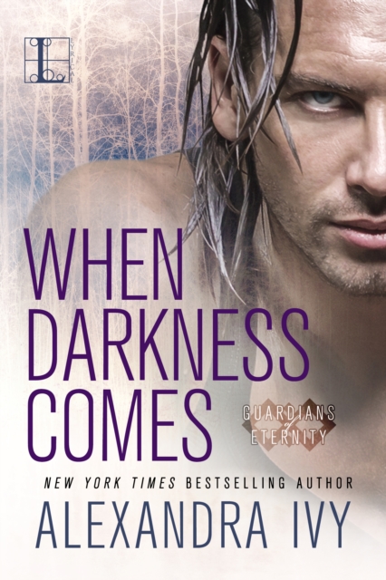 Book Cover for When Darkness Comes by Alexandra Ivy