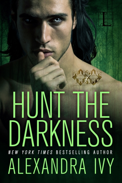 Book Cover for Hunt the Darkness by Alexandra Ivy