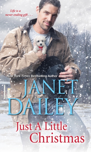 Book Cover for Just a Little Christmas by Janet Dailey