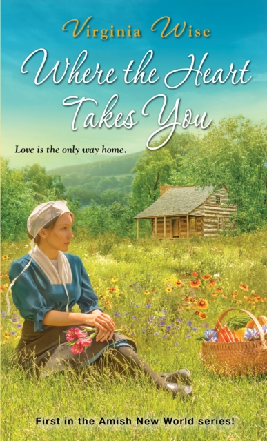 Book Cover for Where the Heart Takes You by Virginia Wise