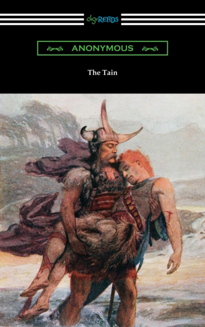 Book Cover for Tain by Anonymous