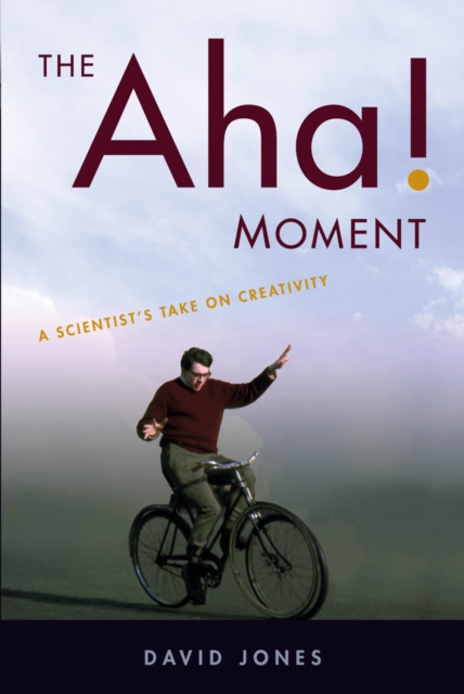 Book Cover for Aha! Moment by Jones, David