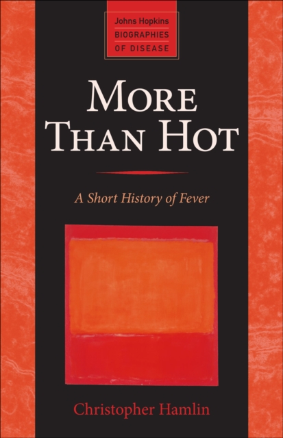 Book Cover for More Than Hot by Christopher Hamlin