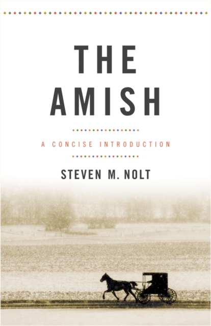 Book Cover for Amish by Steven M. Nolt