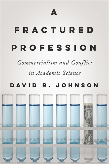 Book Cover for Fractured Profession by David R. Johnson