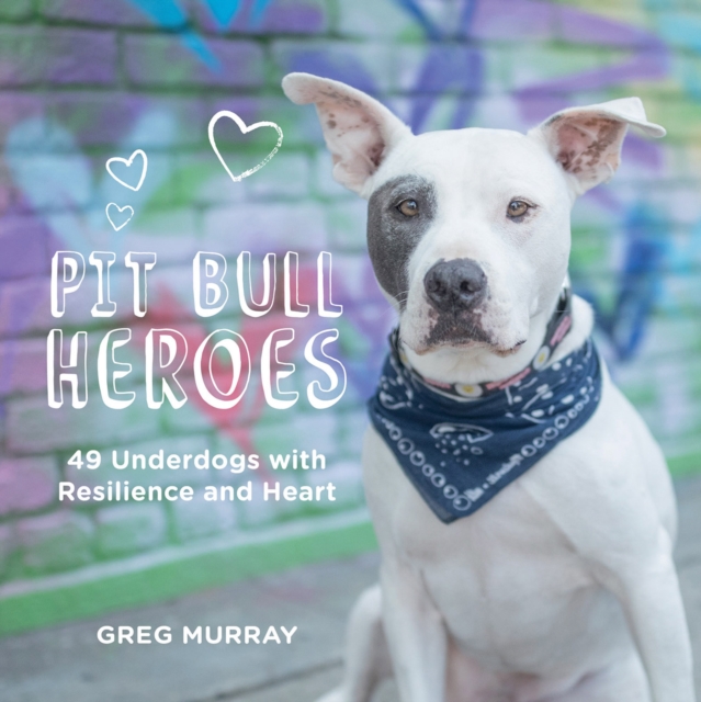 Book Cover for Pit Bull Heroes by Greg Murray